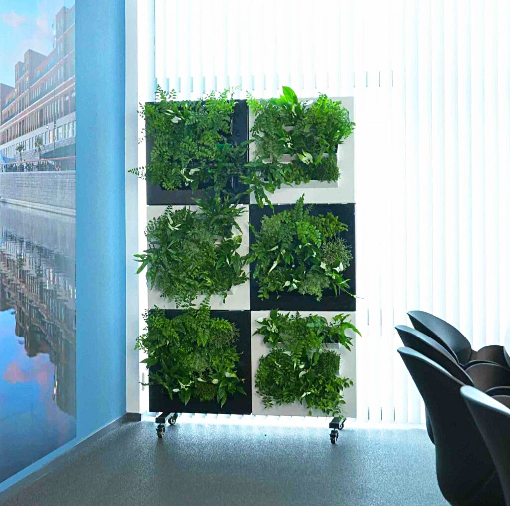 solution de jardin vertical avec plante naturelle ou sans entretien pour l'intérieur ou pour les terrasses - Liaison Végétale - Morbihan