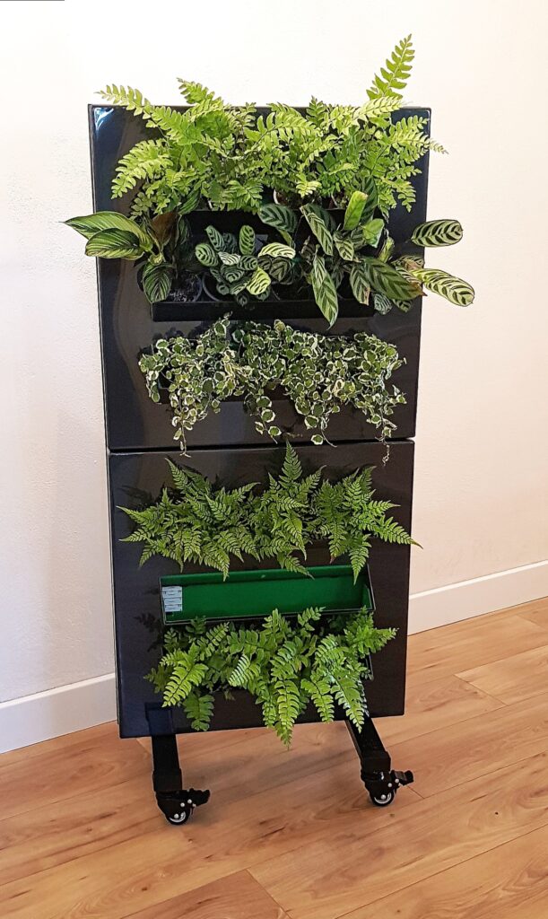 Séparateur Claustra végétal Séparateur végétal Liaison Végétale