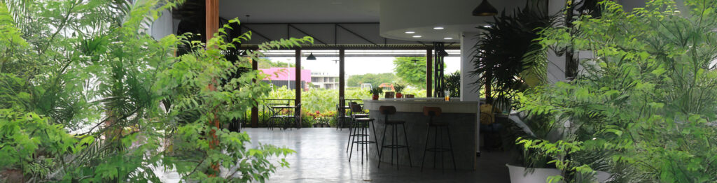 Étude et gestion de projets - Liaison Végétale - 56