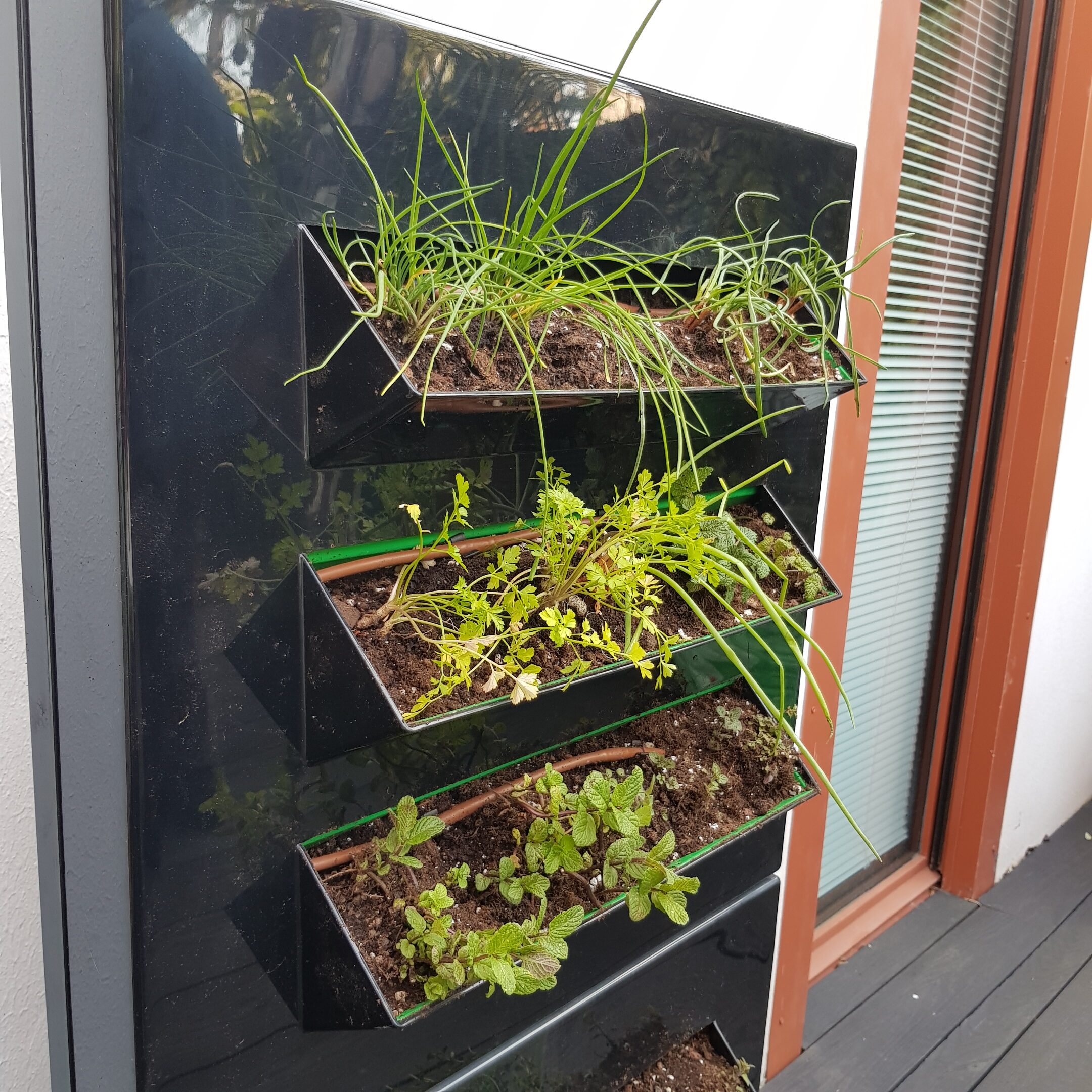 Potager vertical en autonomie pour terrasse - patio abrité Nantes Liaison Végétale