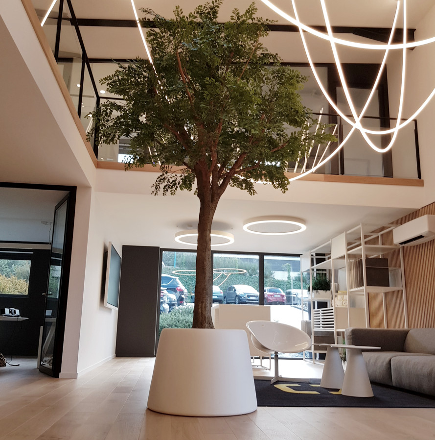 Arbre semi naturel de hauteur 3,60 m dans un accueil de bureau d'entreprise à Lorient