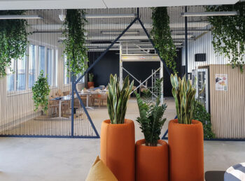 Liaison végétale aménagement d'espaces de détente