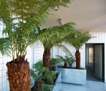 Bac - Jardinière - Poterie ornemental - Claustra - Luminaire