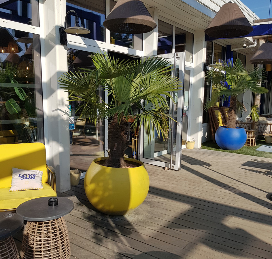 pot décoratif rond pot papi pot jaune pot bleu pot avec palmier pour terrasse restaurant vannes lorient golf du morbihan rennes Saint Malo bord de mer bretagne plouay