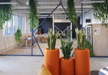 Aménagement végétalisé Arbre, Plante verte & fleurie au sol