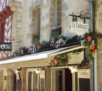 Aménagement Végétalisé et Floral Design Devanture, Mur et Plafond