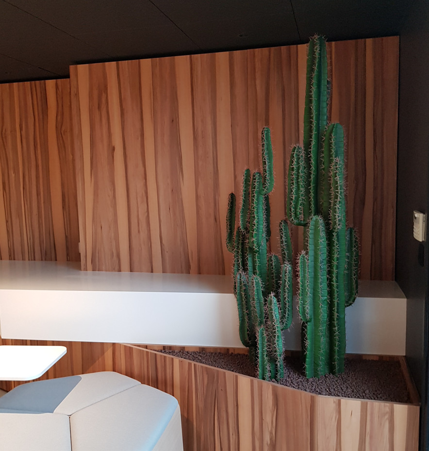 Cactus artificiel Myrtillocactus geometrisans aménagement hall d'accueil d'entreprise Lorient Bretagne