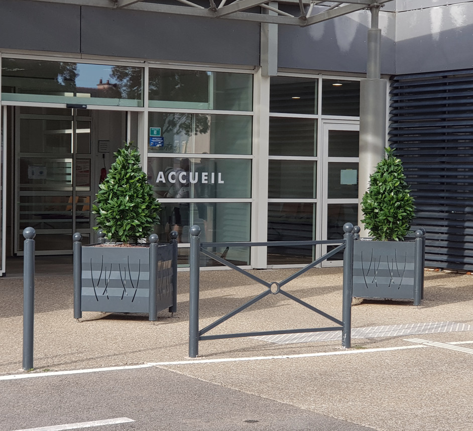 Liaison Végétale Laurier sauce dans  bacs aluminium design accueil clinique L'ORIENT Lorient  Bretagne